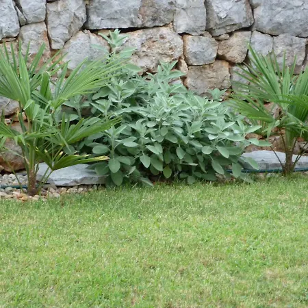 Monja & Dadi, Malinska, *