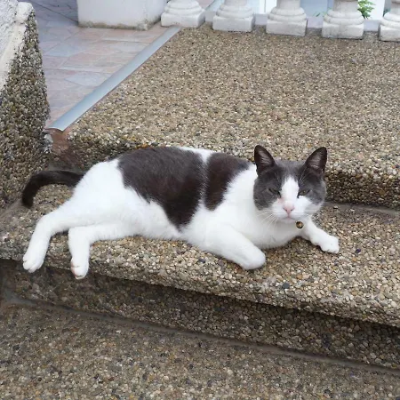 アパート Monja & Dadi, Malinska,